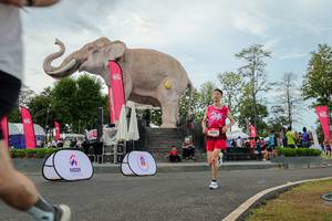 BIB: 
                            <button type="button" onclick="openModal(26528742)" class="btn btn-primary btn-sm float-right btn-popup" data-toggle="modal" data-target=".modal-high-quality">
                        <i class="fas fa-shopping-cart"></i> Add to Cart
                    </button>
                                            <button type="button" onclick="isThisMe(26528742, true)" class="btn btn-success btn-sm float-right btn-popup btn-isme hidden" data-toggle="tooltip" data-placement="bottom" title="นี่คือรูปของคุณใช่ไหม คลิกที่นี่เพื่อเอาเข้าอัลบั้ม">
                        <i class="fas fa-plus"></i> Add to album
                    </button>
                    <button type="button" onclick="isThisMe(26528742, false)" class="btn btn-warning btn-sm float-right btn-popup btn-isnotme hidden">
                        <i class="fas fa-ban"></i> Remove from album
                    </button>